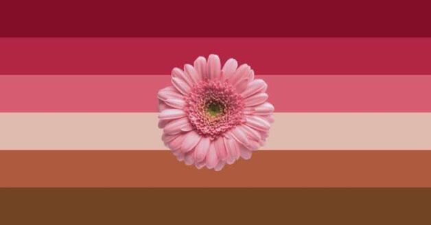 Chrysanthemum Transmasc Chrysanthemum Transmasc