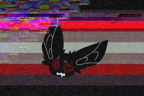 Confusedbat Confusedbat