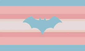 Transbatgender Transbatgender