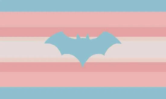 Transbatgender Transbatgender