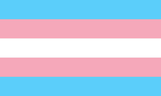 Trans Man Trans Man
