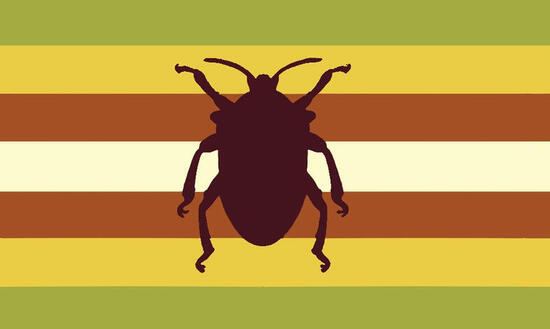 Buggender Buggender