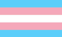 Trans Girl Trans Girl