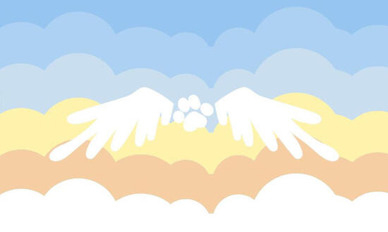 Angelpupic Angelpupic