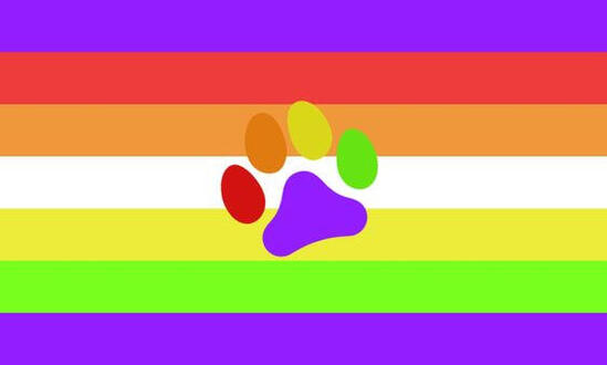 Pawstimboardic Pawstimboardic