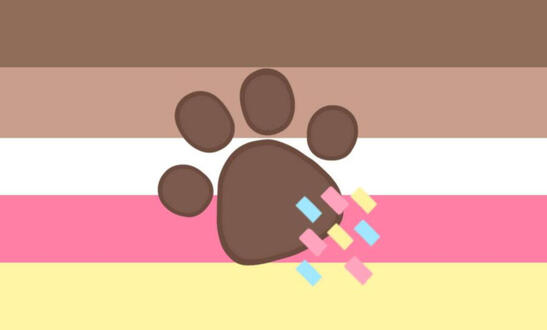 Confettipupgender Confettipupgender
