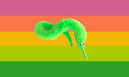 squirmgender squirmgender